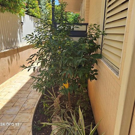 הבית הירוק Otel Karmiel Dış mekan fotoğraf