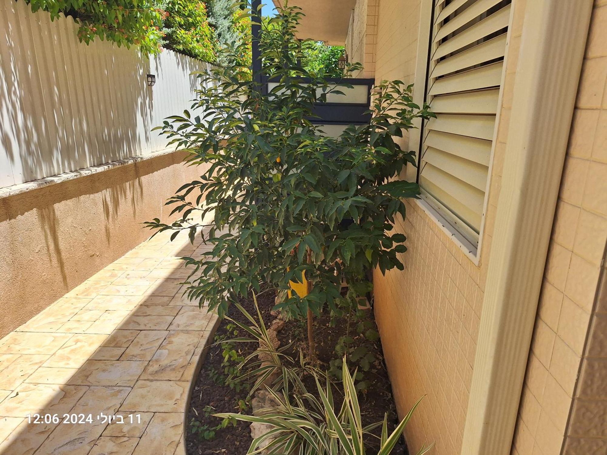 הבית הירוק Otel Karmiel Dış mekan fotoğraf